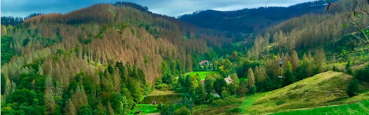 Mariensblick 2019 - (c) Wolfgang Gärtner