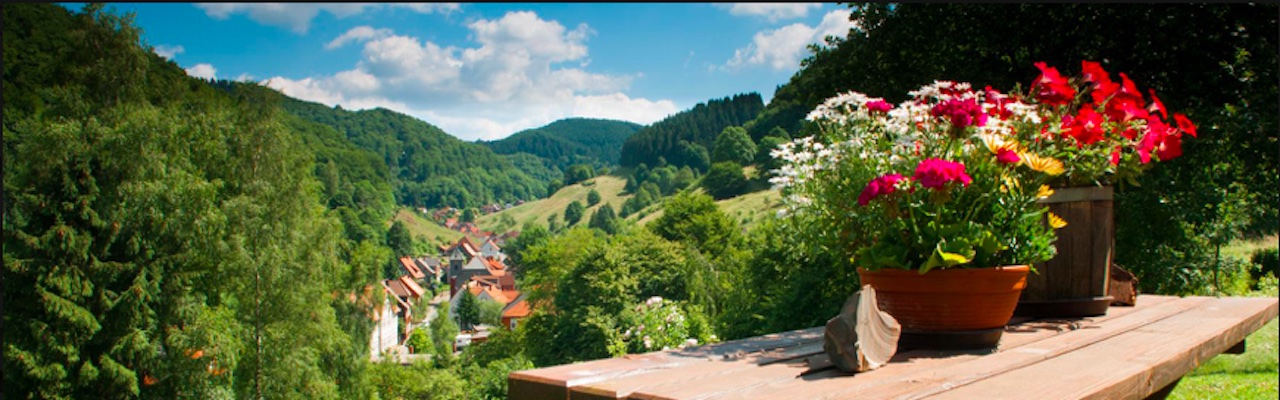 Lerbach, Blick vom Schwarzenberg, 2018 - (c) naturfotografie Günther Koch
