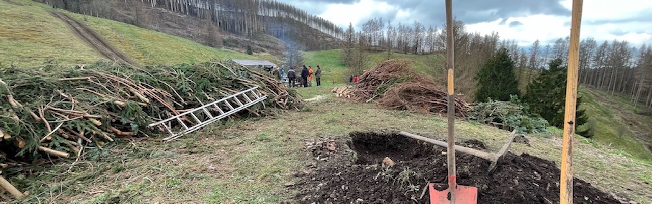 Grüne Fichtenhecke - inzwischen eine Rarität - (c) Alexander Koch