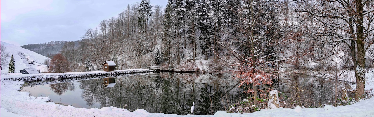 Winterlicher Mühlenteich, 12.2023 (c) Jürgen Trull