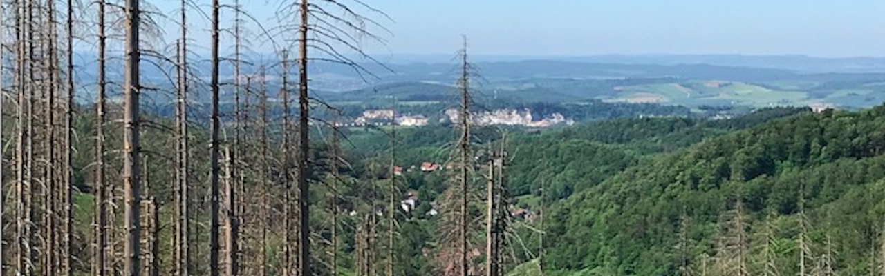 Blick vom Oberen Clausberg nach Westen, 05.2024 (c) Wolfgang Gärtner
