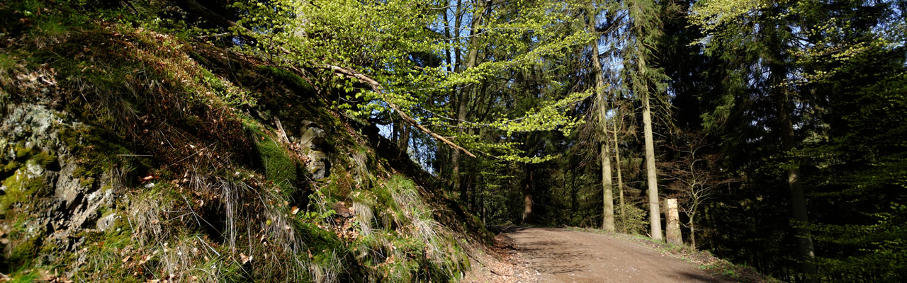 Rote Sohle, 2017 - (c) Jörg Hüddersen