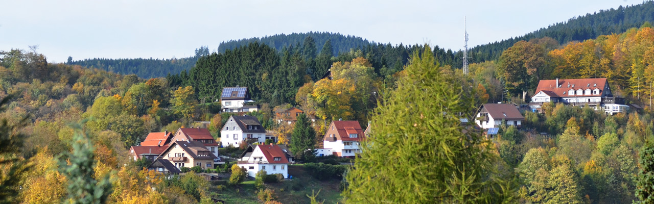 Herbstfärbung an der Oberen Harzstraße, 2019 - (c) Jörg Hüddersen