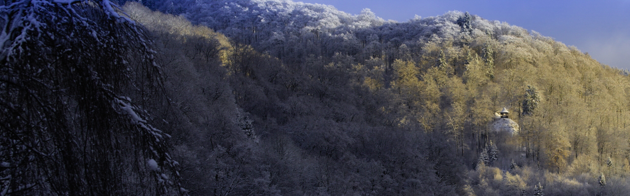Der Winter weicht zurück: Claras Höhe - (c) Günther Koch